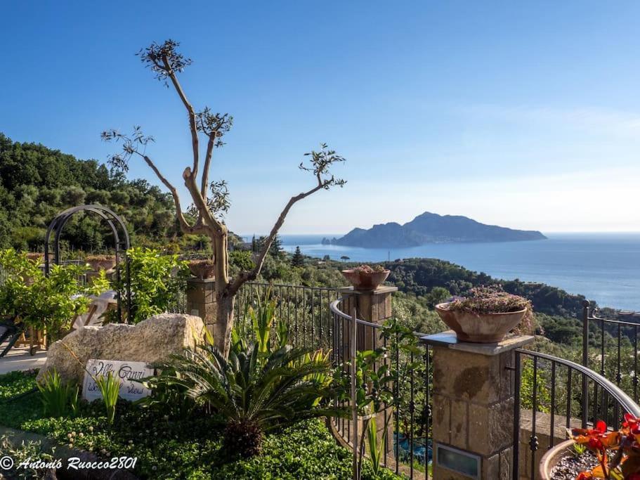 Villa Capri Wonderful View Massa Lubrense Exterior foto